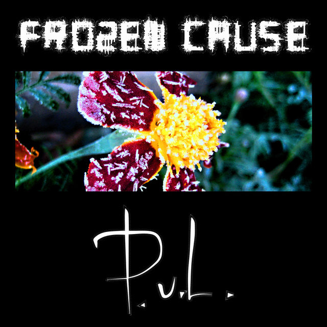 The cover of Paul von Lecter - Frozen Cause (Summer 2k20 Mix)