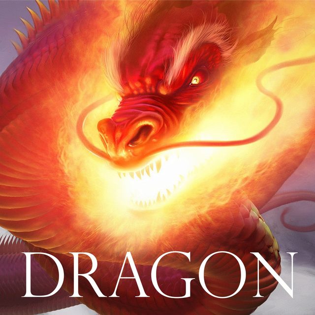 The cover of Paul von Lecter - Dragon